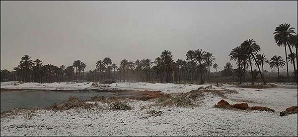 Hoy se cumplen ocho  años en que Torrevieja se cubrió de nieve