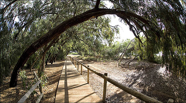 La oficina de turismo del paseo Vista Alegre se convierte en punto de información colaborador (PIC) del Parque Natural de las lagunas de La Mata y Torrevieja