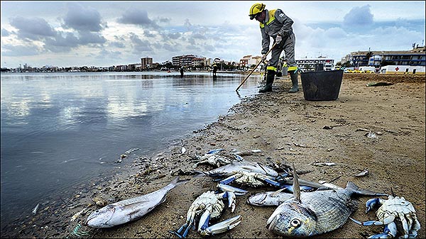 Recogida de firmas mañana, para salvar el Mar Menor