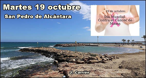 Agenda del martes 19 de octubre de 2021 (292/73)