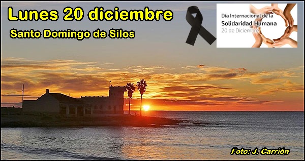 Agenda del lunes 20  de diciembre (354/11)
