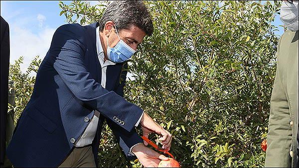 Mazón: “La subida de la cuota a los autónomos es un atraco fiscal del Gobierno de Pedro Sánchez”