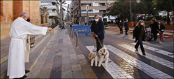 Día de San Antón: «Benditos animalicos»