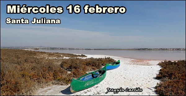 Agenda del miércoles 16 de febrero de 2022 (46/319)