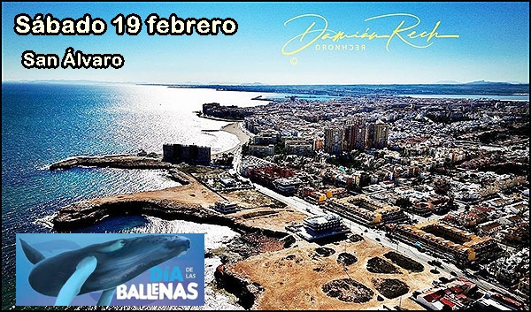 Agenda de fin de semana, del 18 al 20 de febrero (II)