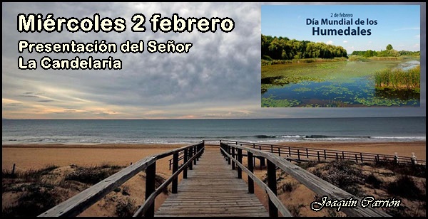 Agenda del miércoles 2 de febrero de 2022 (33/332)