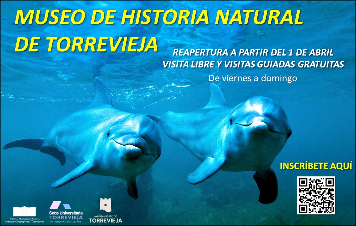 Continúan las visitas al Museo de Historia Natural  en español e inglés