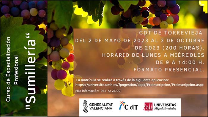 Abiertas las inscripciones para el curso gratuito de sumiller en el Centro de Turismo Torrevieja.
