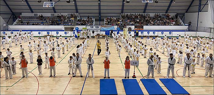 Espectacular celebración del IV Festival de Taekwondo «Ciudad de Torrevieja».