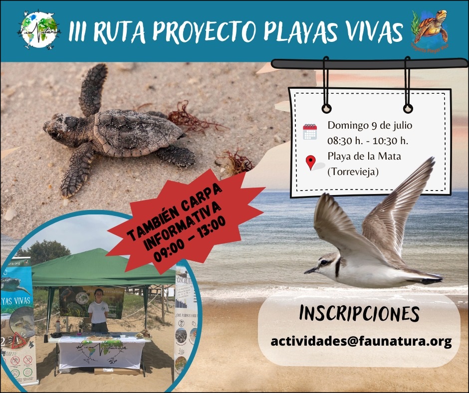 Faunatura organiza este domingo en la Playa de la Mata su III Ruta Proyecto Playas Vivas.
