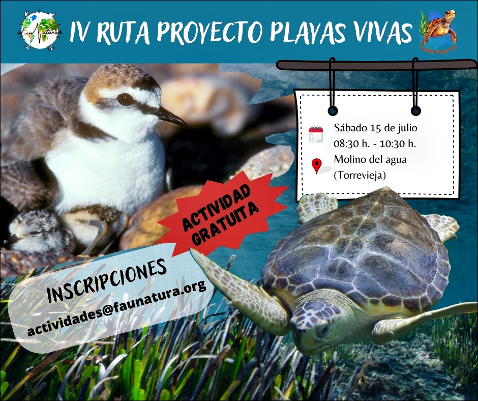 Faunatura organiza este sábado la última ruta de la temporada del Proyecto “Playas Vivas”.
