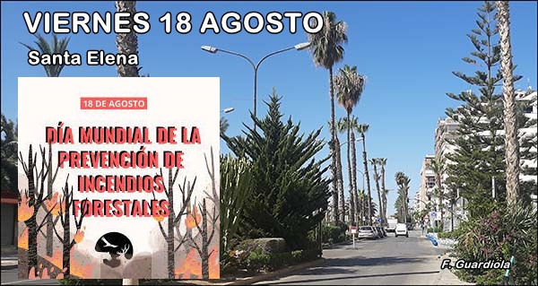 Agenda del fin de semana del 18 al 20 de agosto