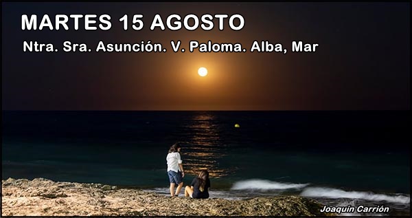 Agenda del  martes 15 de agosto.