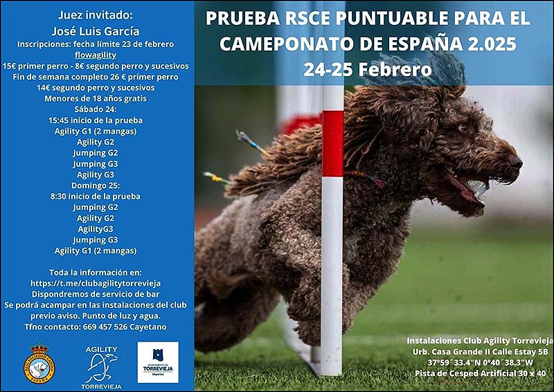Abiertas las inscripciones para la RSCE puntuable para el Campeonato de España de Agility 2025