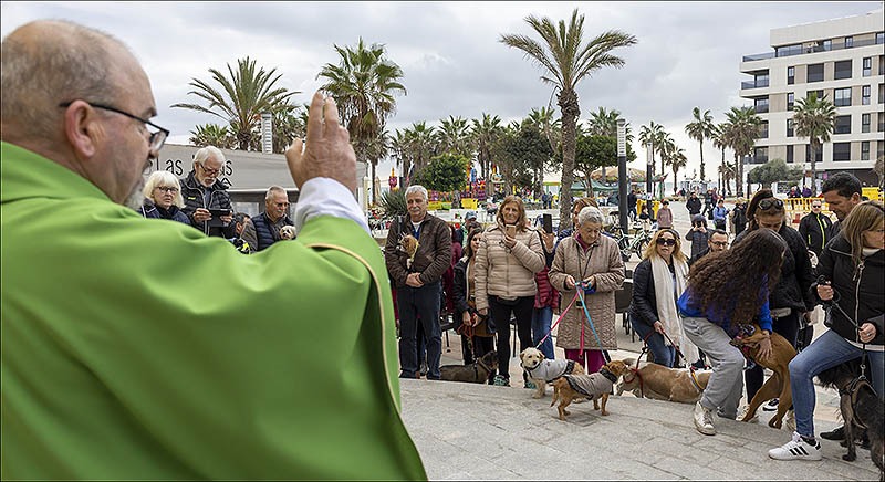 Bendición de mascotas en La Mata por el Día de San Antón