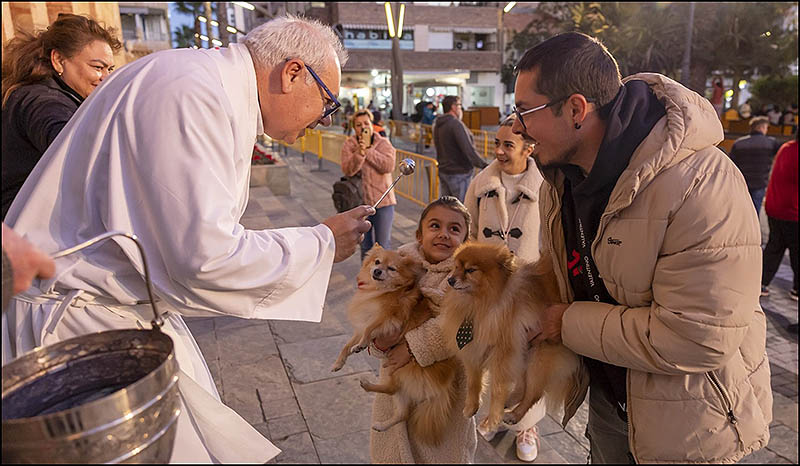 Cientos de animales recibieron la Bendición en el Día de San Antón