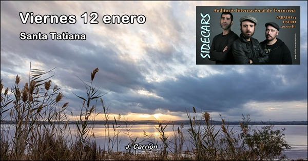 Agenda de fin de semana del 12 al 14 de enero