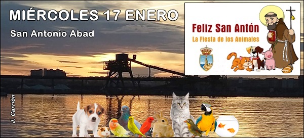 Agenda del miércoles 17 de enero de 2024
