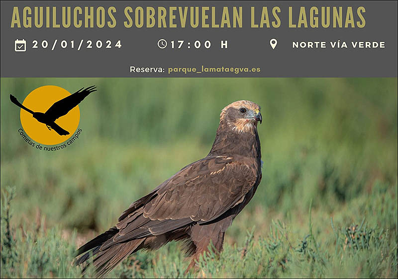 Nueva jornada de Observación de Fauna en el Parque Natural este sábado