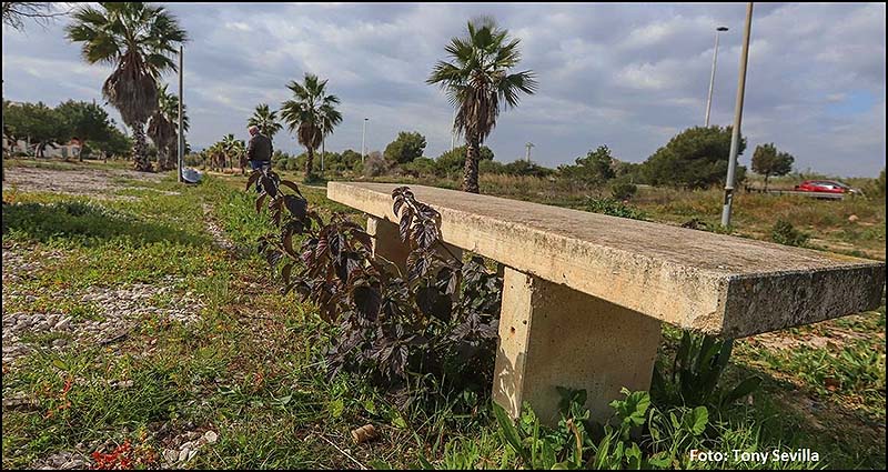 Sueña Torrevieja alerta de que la licitación del nuevo servicio de mantenimiento de zonas verdes se retrasa más de un año y medio por las negligencias del equipo de gobierno del PP