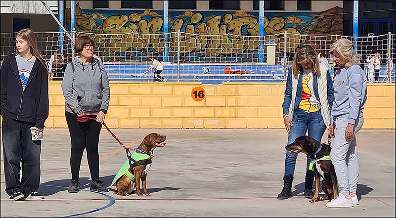 Visitas a los centros escolares para concienciar sobre el bienestar de los animales y fomentar las adopciones