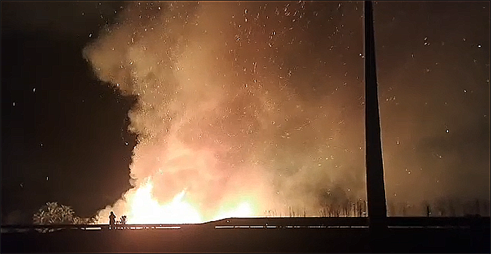 Un palmeral de grandes dimensiones arde junto a la AP-7, en Los Balcones, pudiéndose ver las llamas desde varios kilómetros