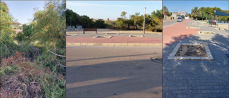 Los Verdes Equo- Compromís denuncian el abandono del parque “Ilo Ilo” en la urbanización Los Balcones
