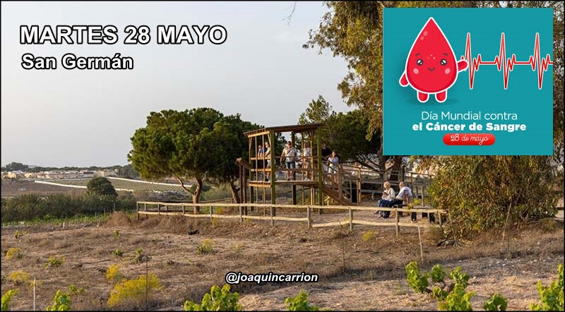 Agenda del martes 28 de mayo