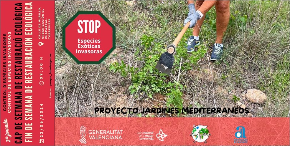 Seguimos con las acciones de Restauración Ecológica en el Parque de la Mata
