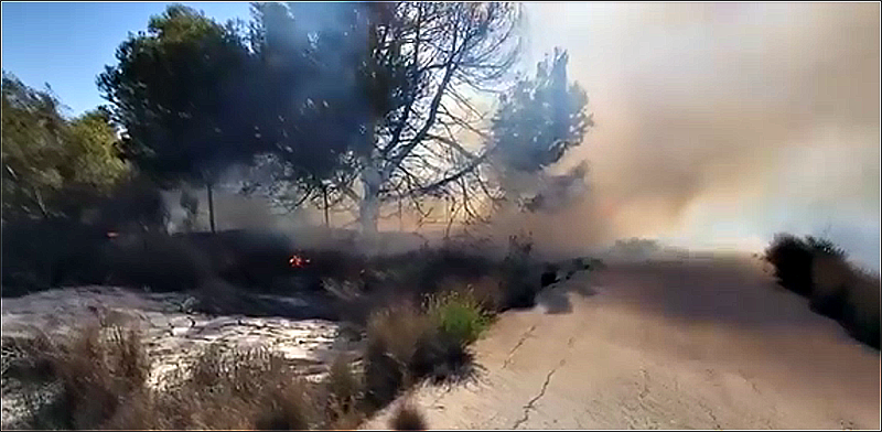 Un incendio en la zona de los Campos de Golf de Campoamor provoca la declaración de situación 1 del PEIF