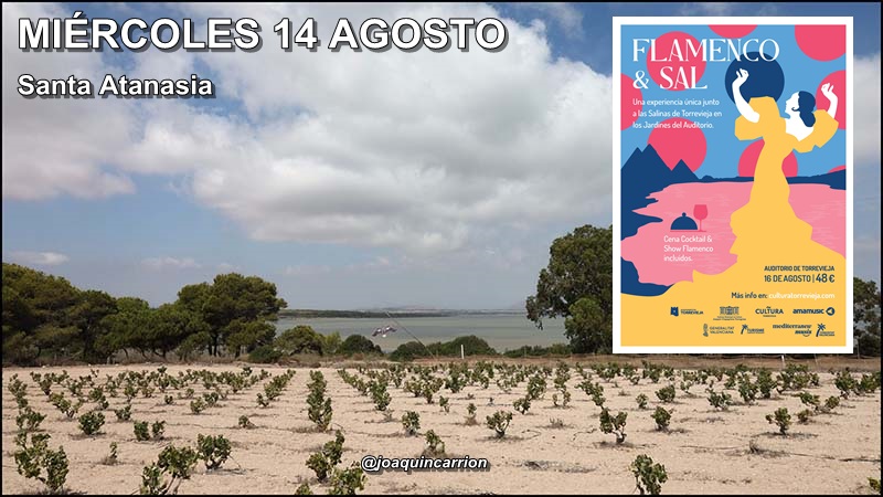 Agenda del miércoles 14 de agosto