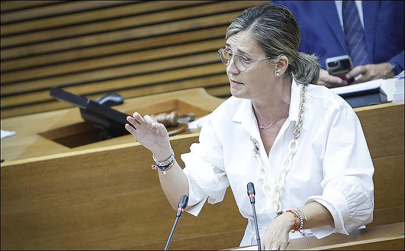 El PPCV defiende las “medidas históricas” con las que el Consell ha mejorado los servicios sociales en la Comunitat Valenciana