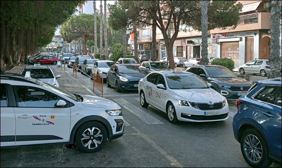 Sueña Torrevieja exige soluciones urgentes al caos del servicio de taxis durante la temporada turística a través de una moción a Pleno