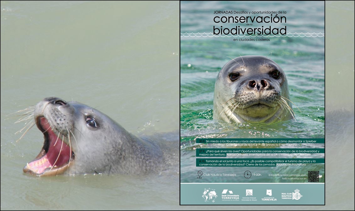 Torrevieja acogerá las Jornadas «Desafíos y oportunidades de la conservación de la biodivesidad en ciudades costeras»