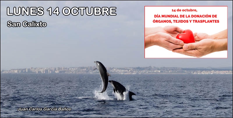 Agenda del lunes 14 de octubre