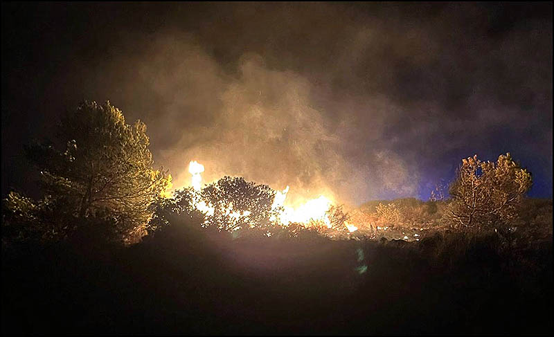 Pavoroso incendio en el Parque Natural de la Laguna de La Mata