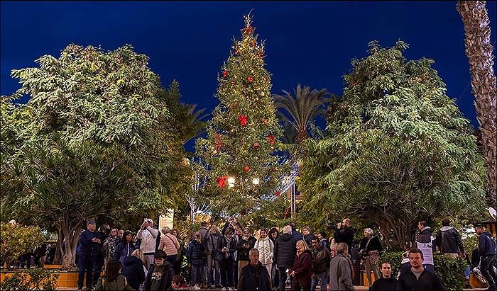 Este domingo, 1 de diciembre, a las 18:00 horas, se realizará el encendido del árbol de navidad procedente de Suecia