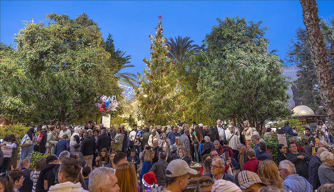 El encendido del Abeto de la Colonia Sueca en Torrevieja, pone el broche de oro a la iluminación navideña de la ciudad