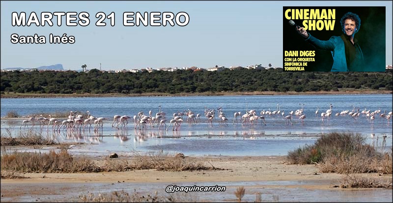Agenda del martes 21 de enero
