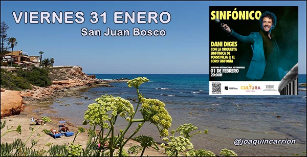 Agenda fin de semana del  31 enero al 2 de febrero