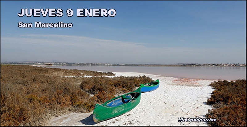 Agenda del jueves 9 de enero