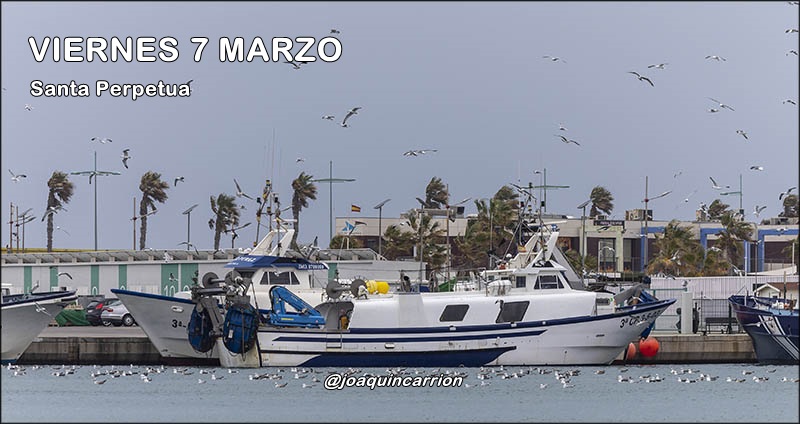 Agenda fin de semana del 7 al 9 de marzo