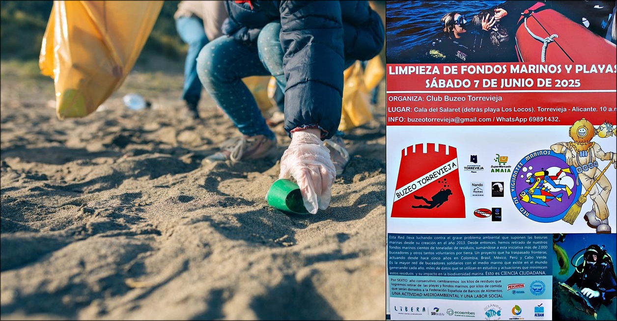Torrevieja se moviliza por el mar: limpieza de playas y fondos marinos este sábado en Cala del Salaret