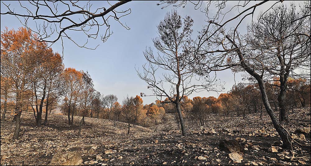 La Diputación incrementa hasta los 6 millones de euros la inversión para prevenir incendios forestales